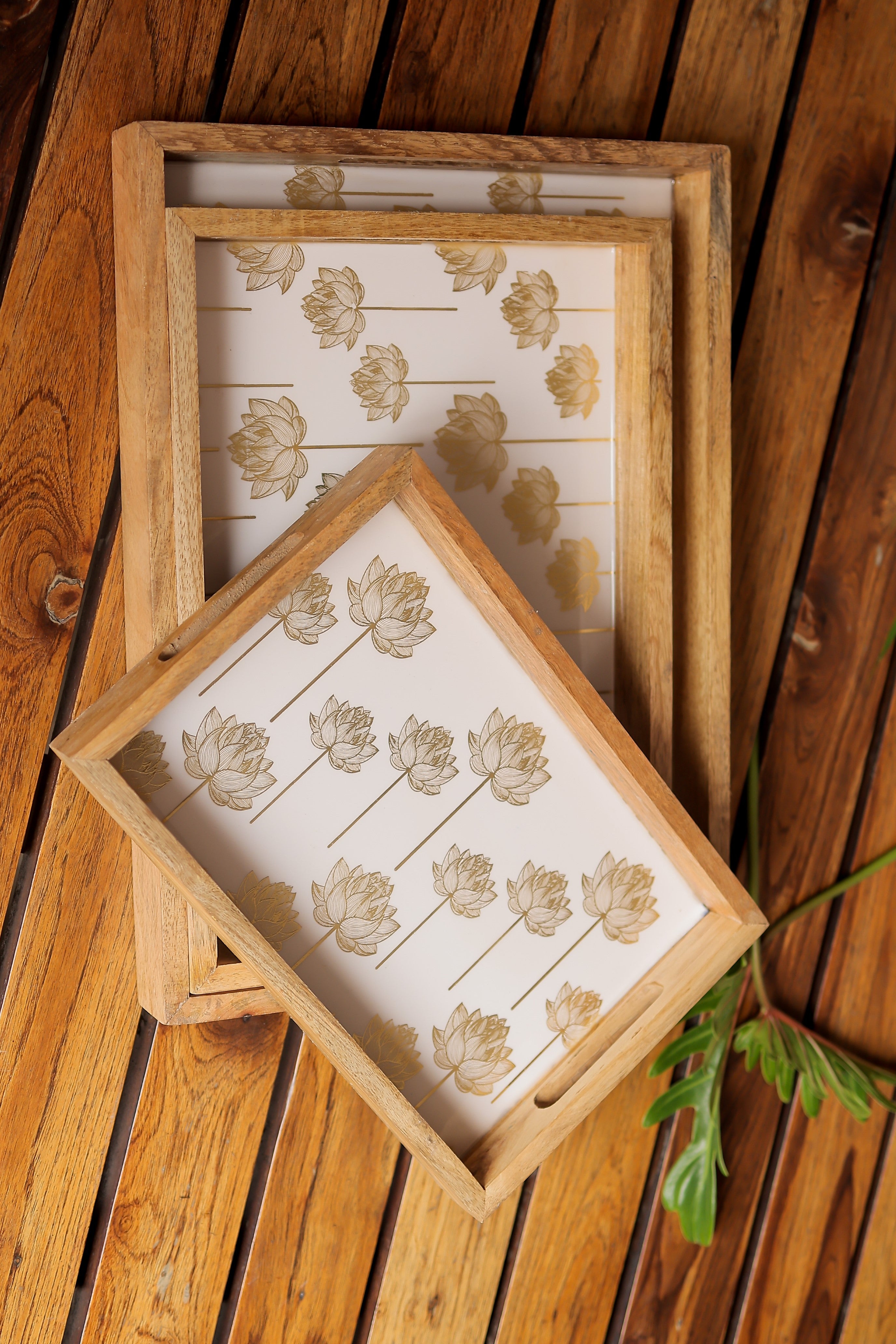 3pc printed trays