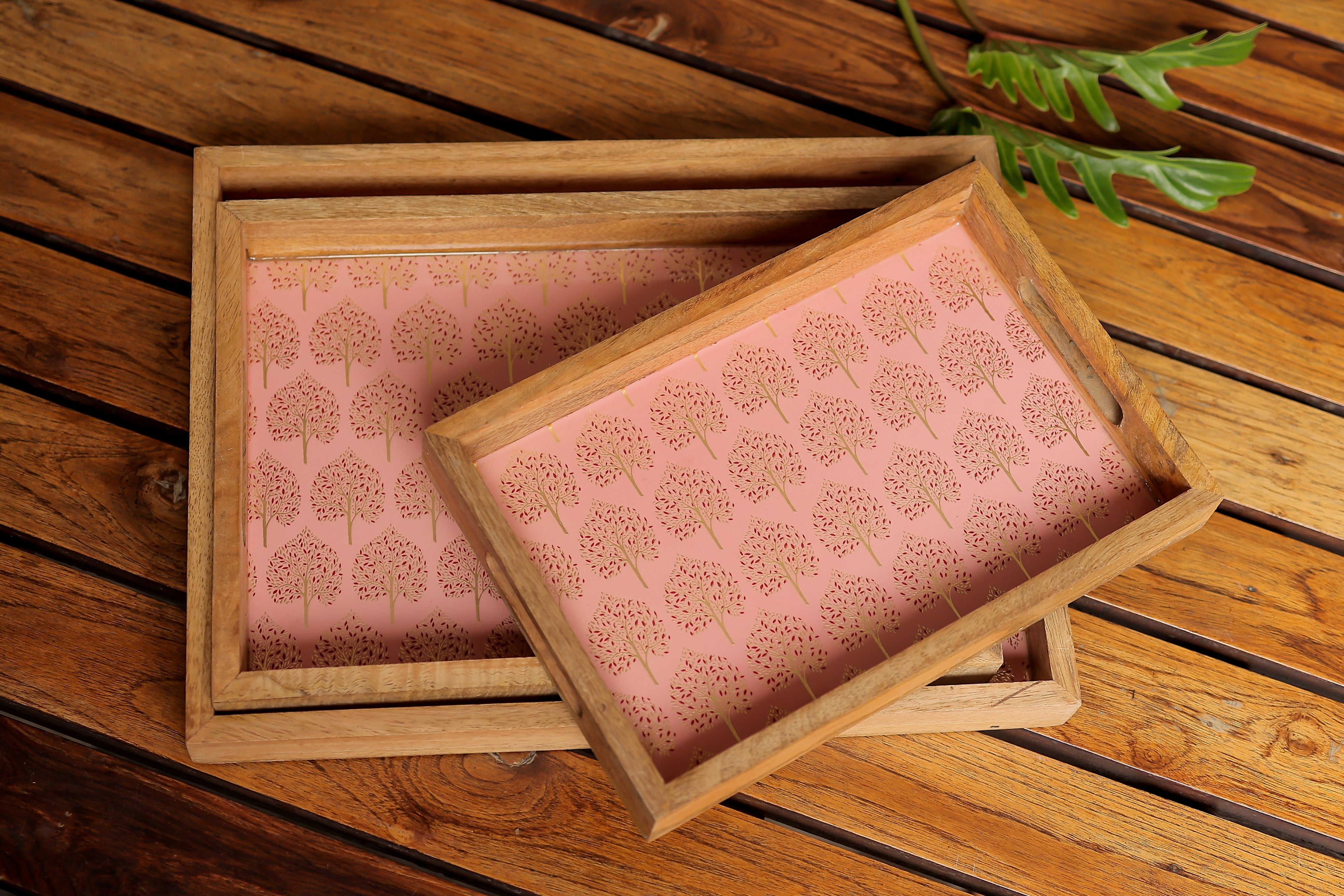 3pc printed trays