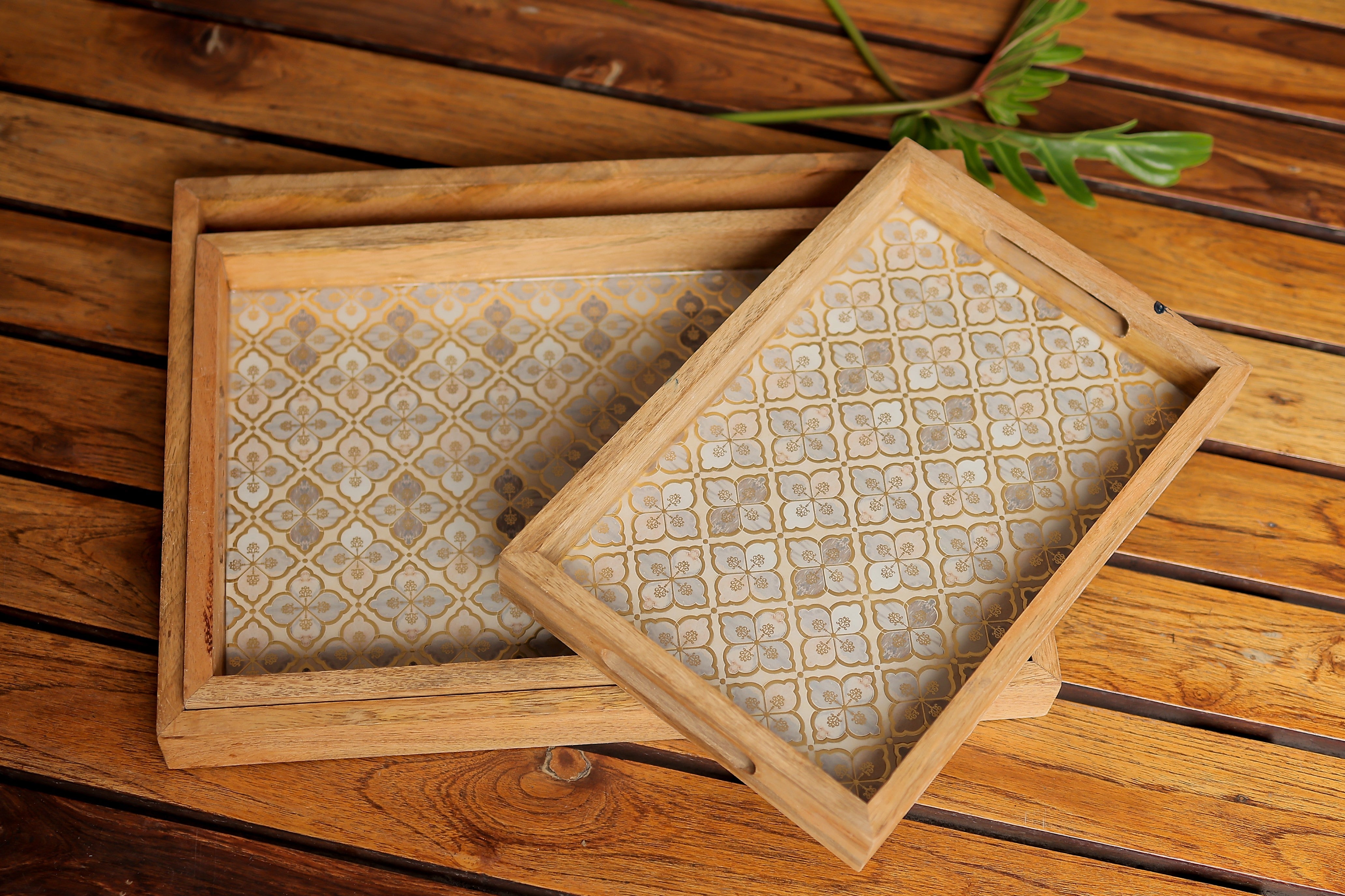 3pc printed trays